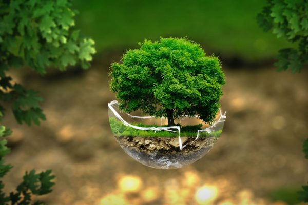 voicesofconservations.org