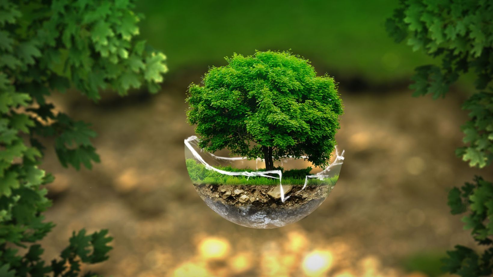 voicesofconservations.org