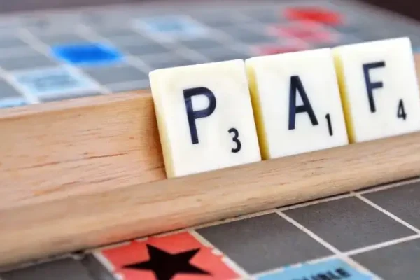 Private Ancillary Fund