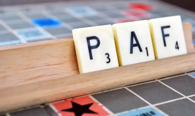 Private Ancillary Fund